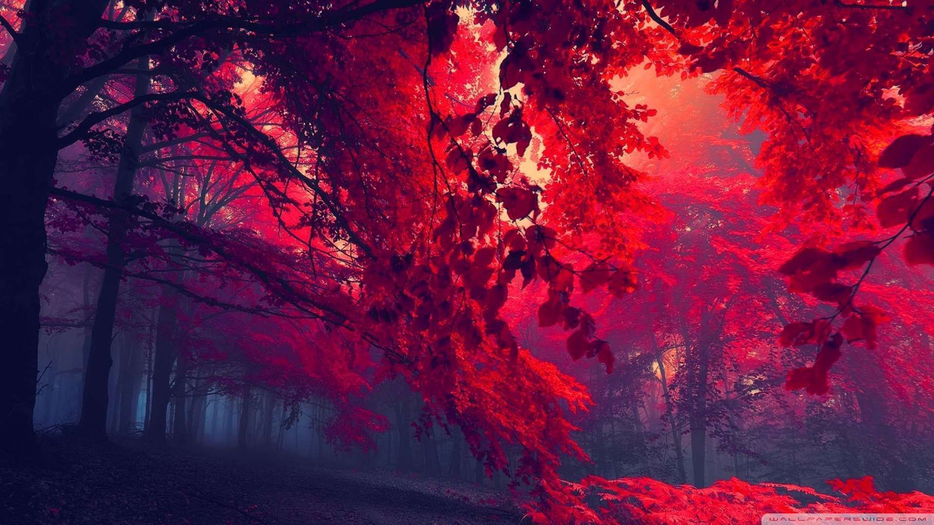 Red Nature Wallpaper