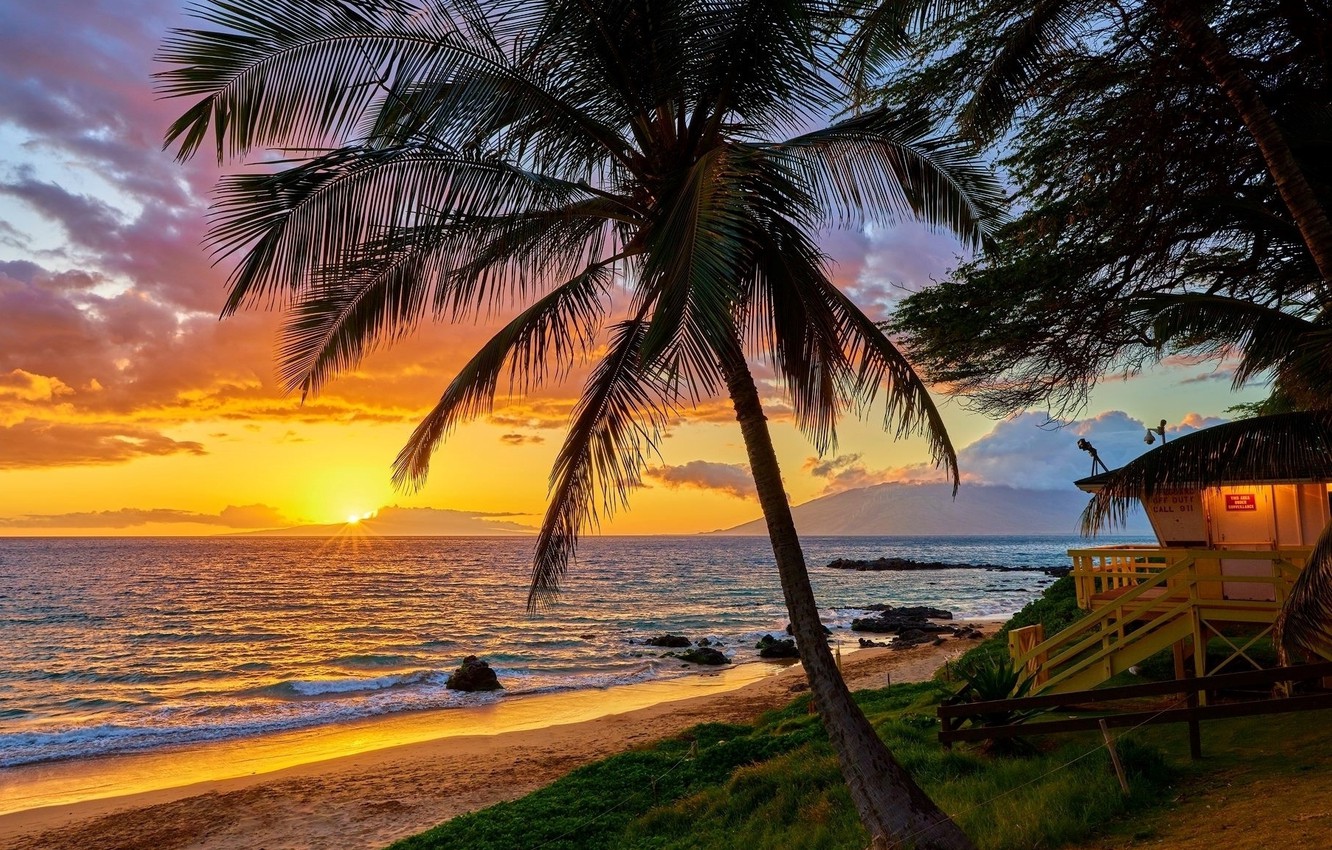 Wallpaper summer, sunset, holiday, hawaii, palm tree image for desktop, section пейзажи