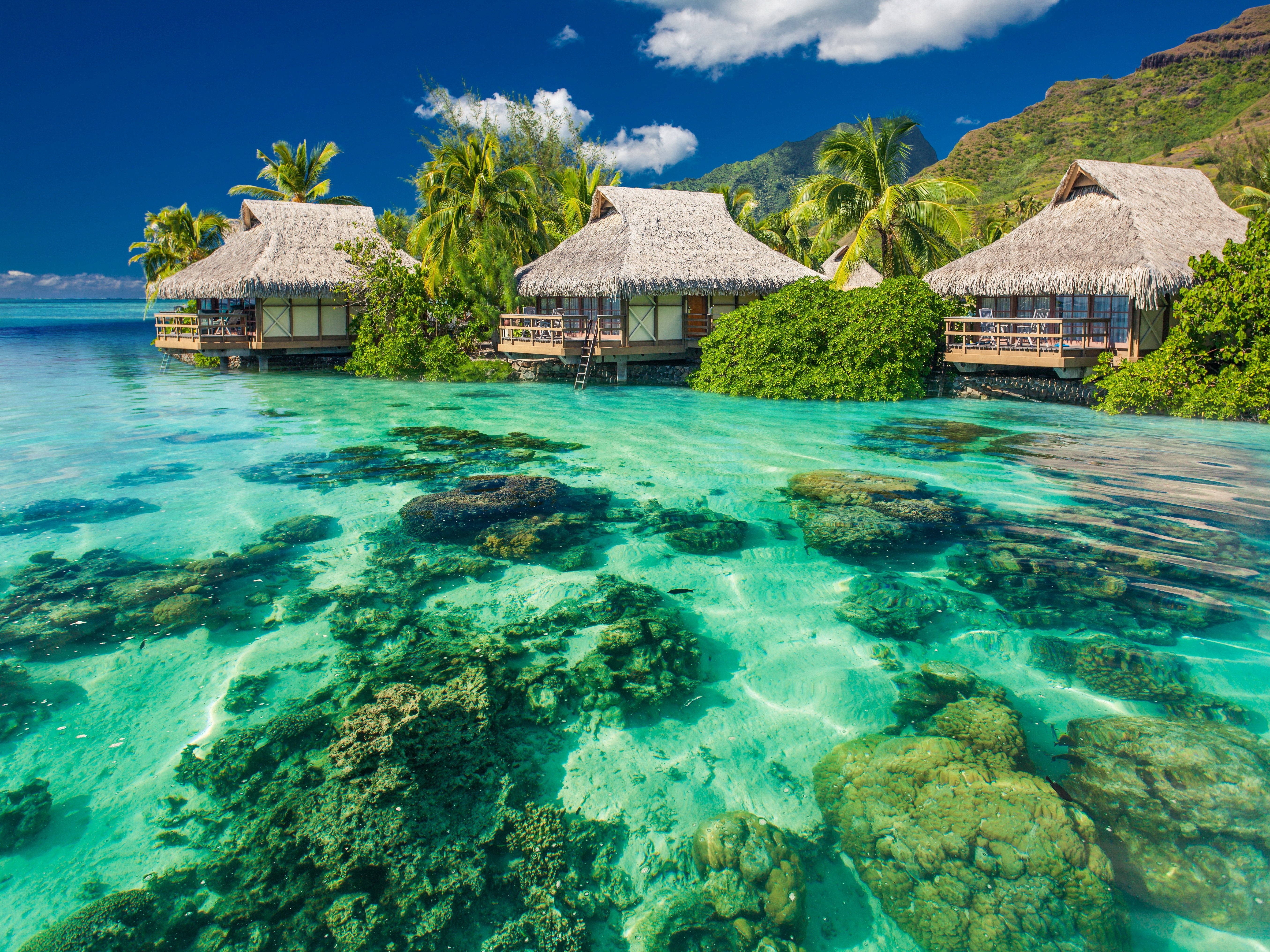 ocean, Tropical, Sunshine, Paradise, Summer, Beach, Palms, Sea Wallpaper HD / Desktop and Mobile Background
