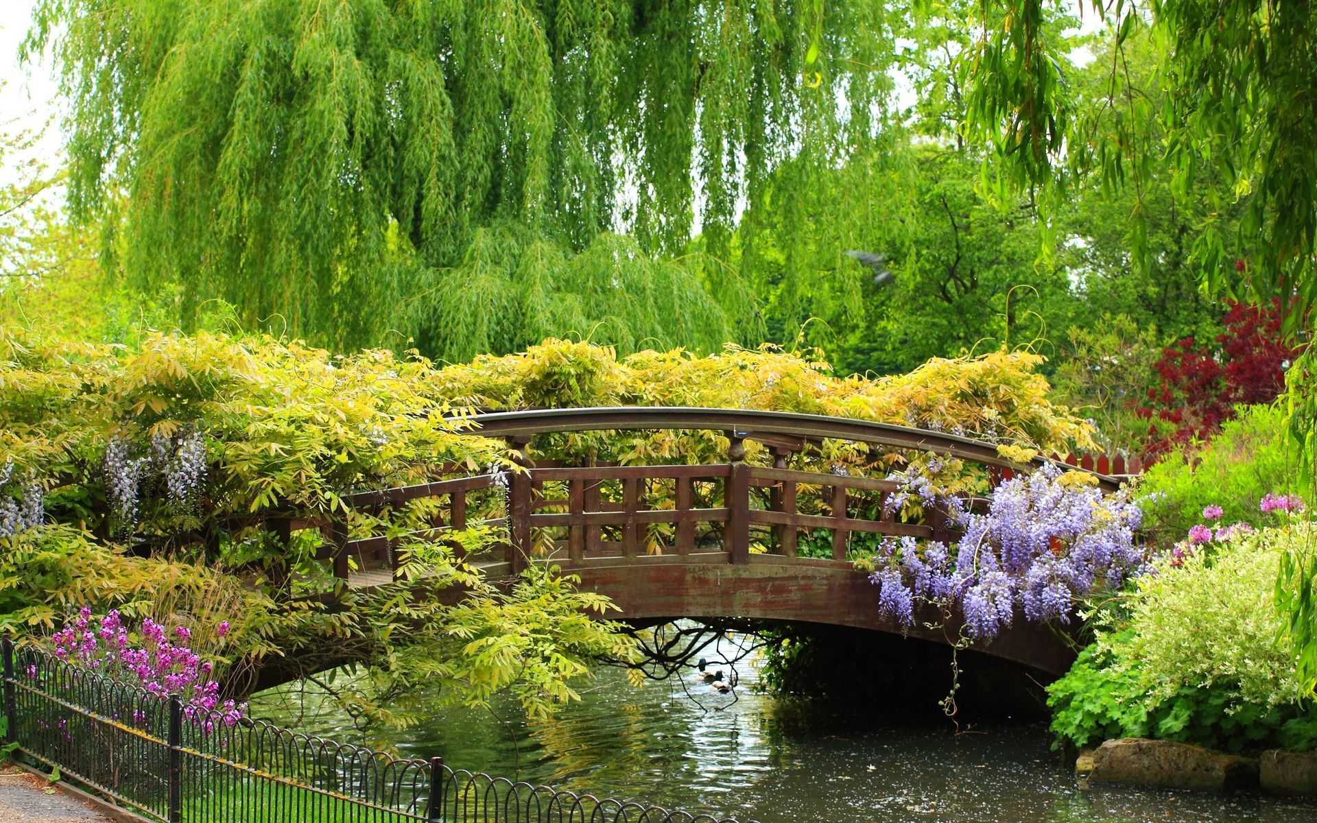 Spring Bridge Wallpaper
