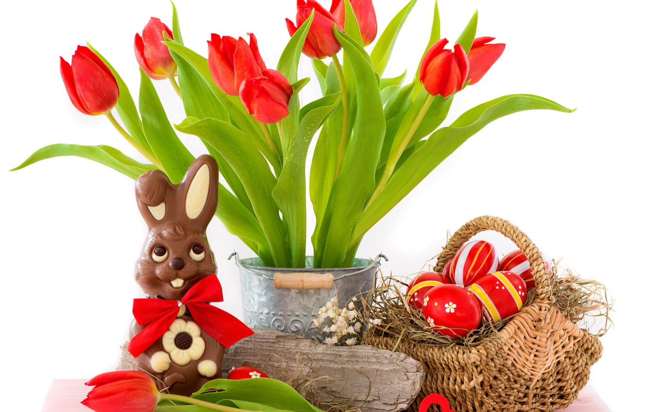 Wallpaper eggs, Easter, tulips, red, flowers, tulips, eggs, easter, bunny image for desktop, section праздники