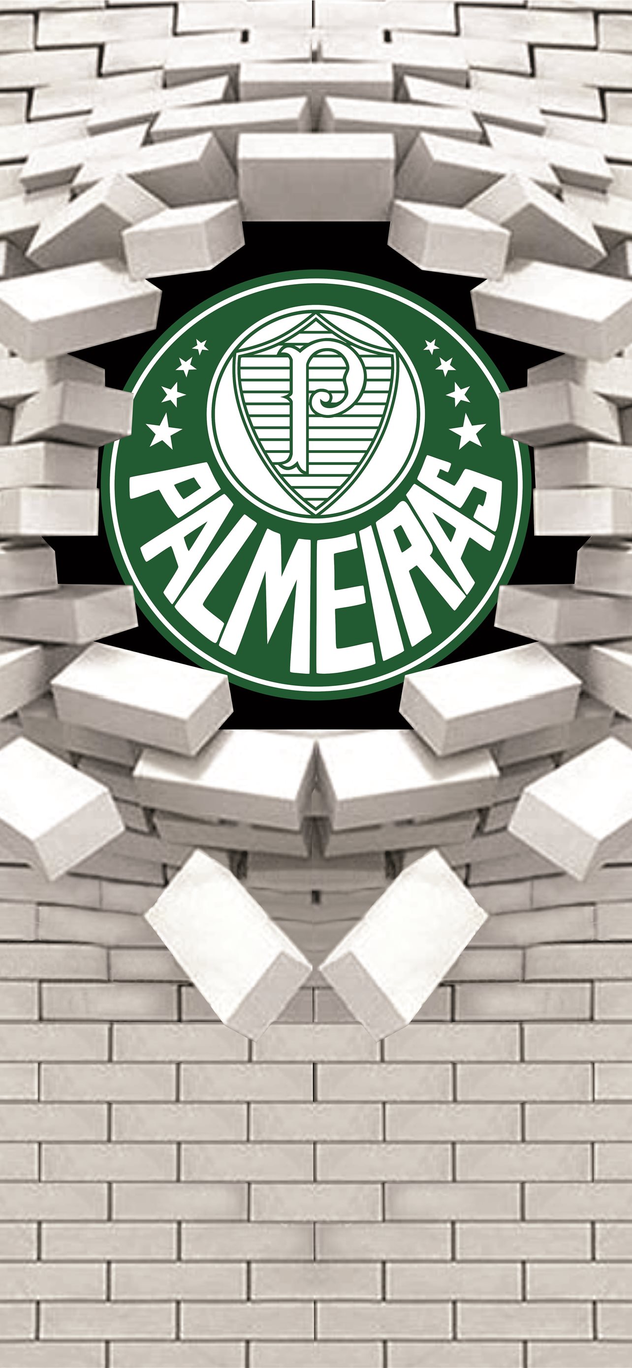 Best Palmeiras iPhone HD Wallpaper