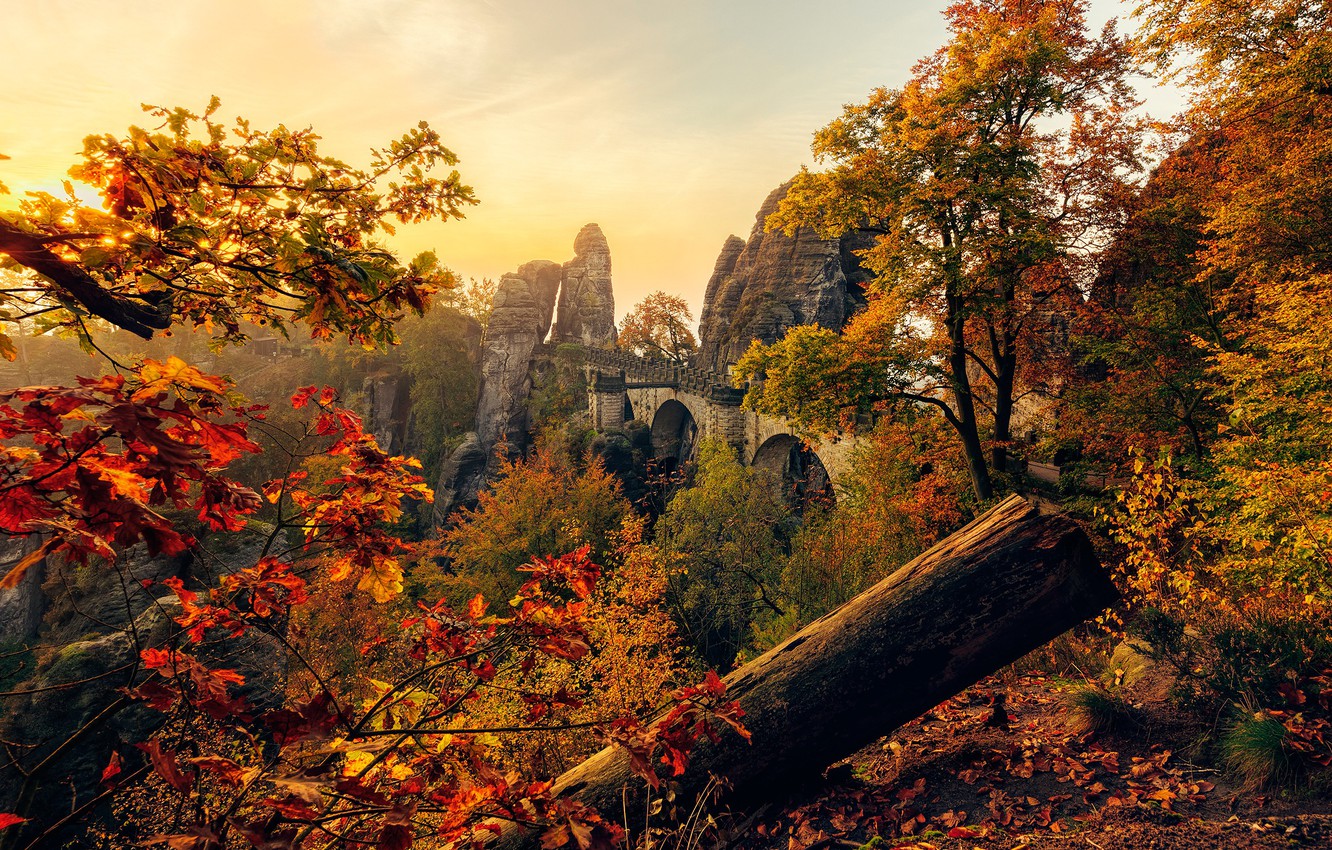 Wallpaper autumn, leaves, the sun, trees, bridge, stones, rocks, Germany, Saxony, Saxony image for desktop, section природа
