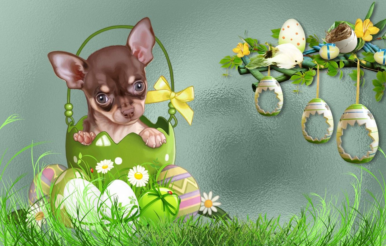 Easter Dog Wallpaper Free Easter Dog Background