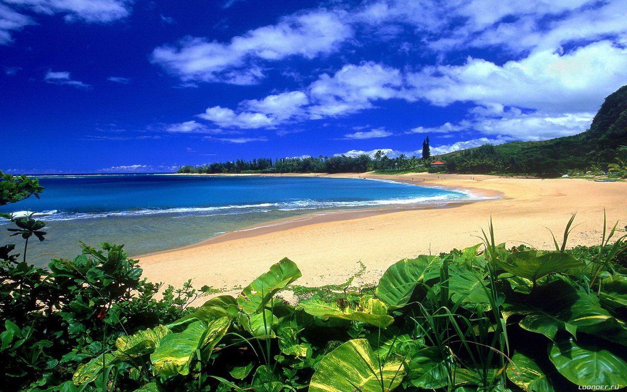 Sunset Hawaii Beach Wallpaper