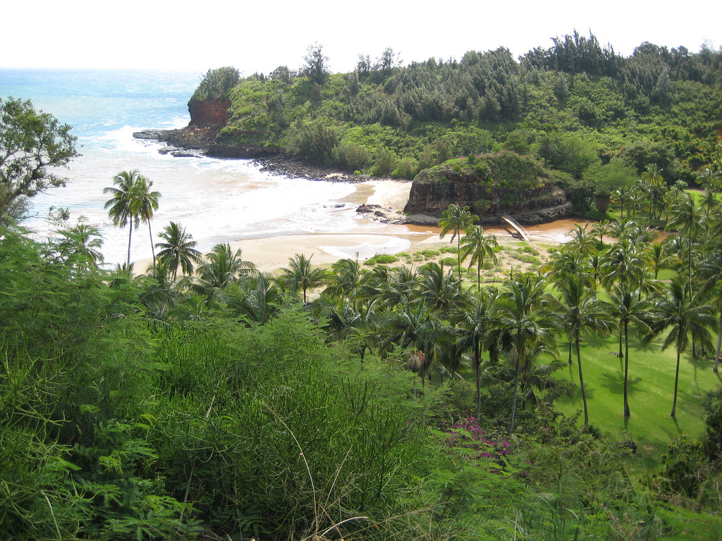 Must Stop Sights Along Kauaʻi's Historic Holo Holo Koloa Scenic Byway