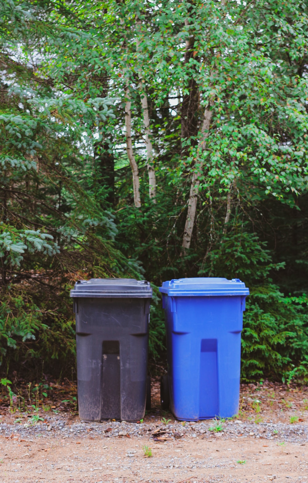 Trashcan Picture. Download Free Image