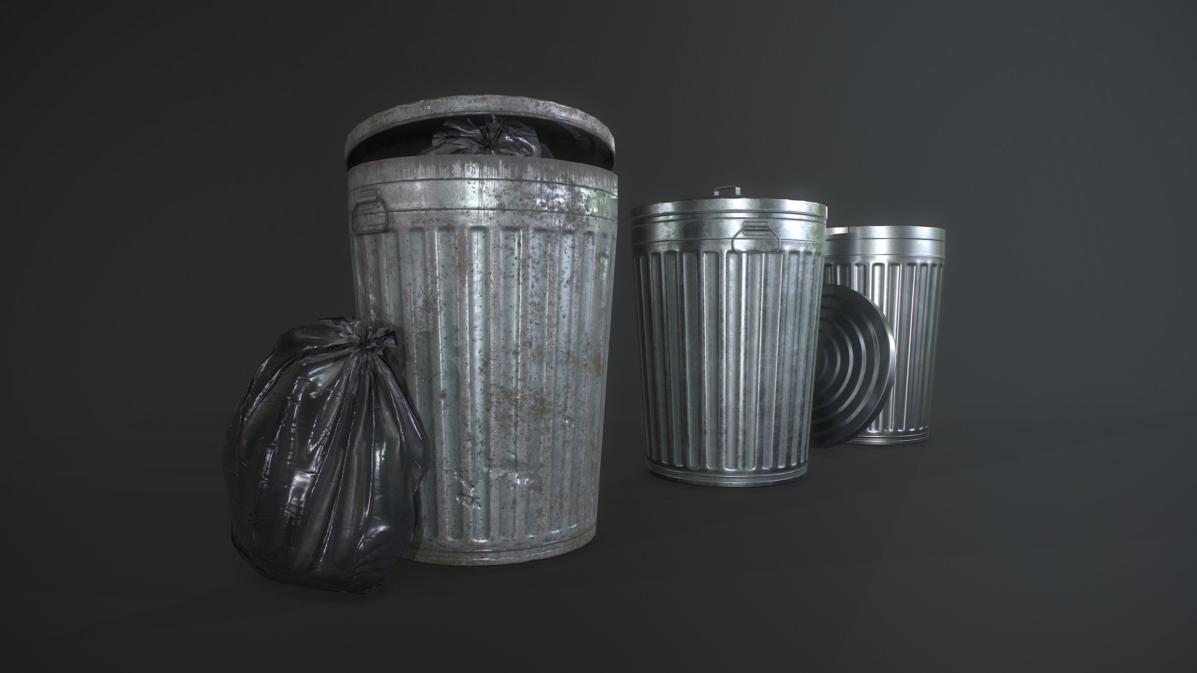 Metal Trash Can with Garbage Bags