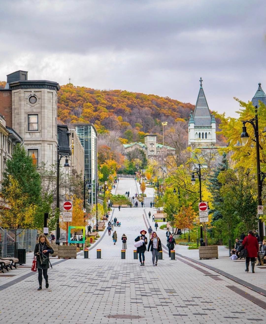 Live MTL on Instagram: “Fall in less than 3 days!!