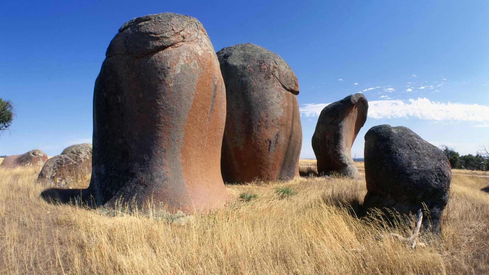 penis, South, Australia Wallpaper HD / Desktop and Mobile Background