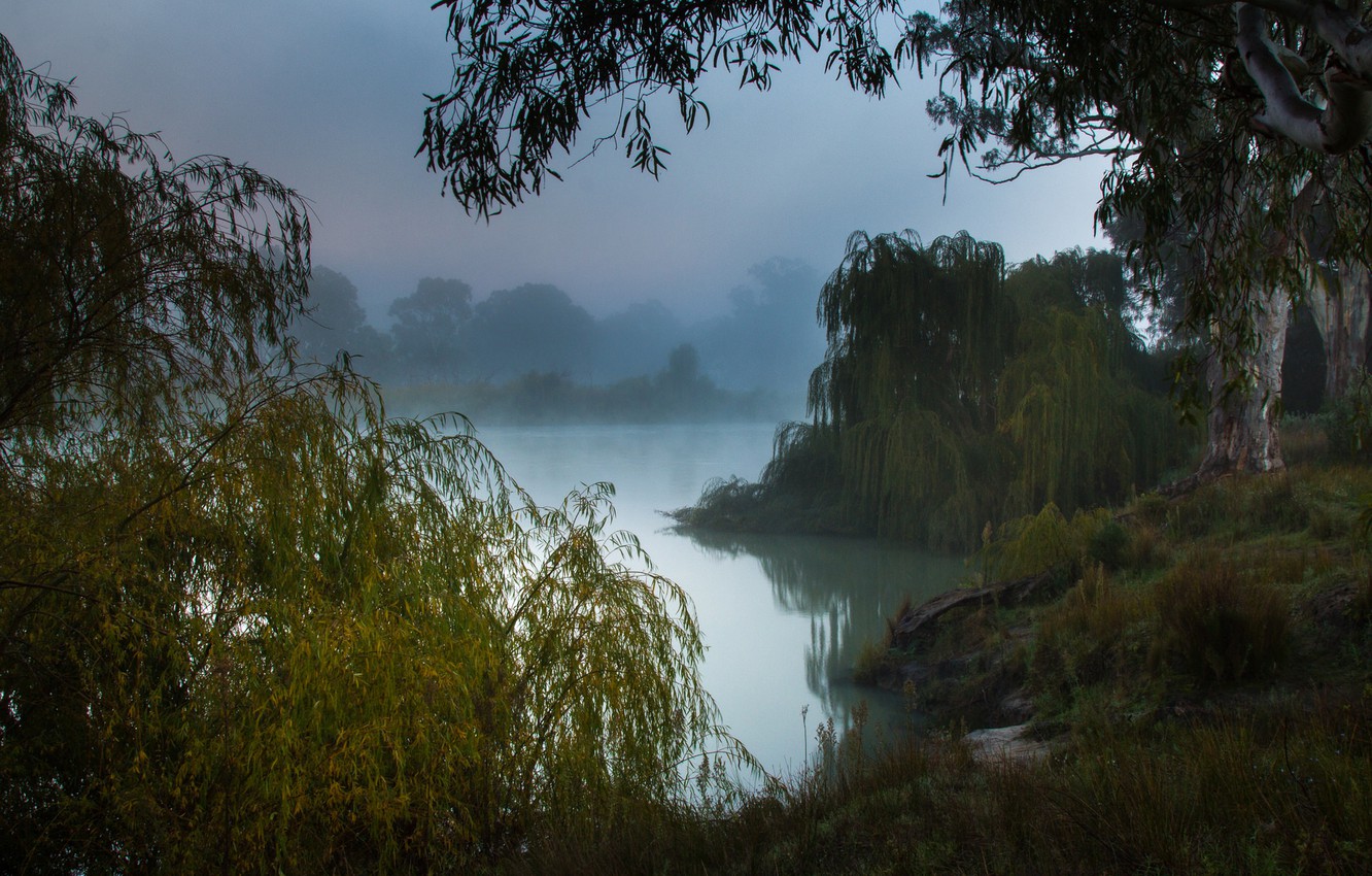 Wallpaper misty morning, the Murray river, South Australia image for desktop, section природа
