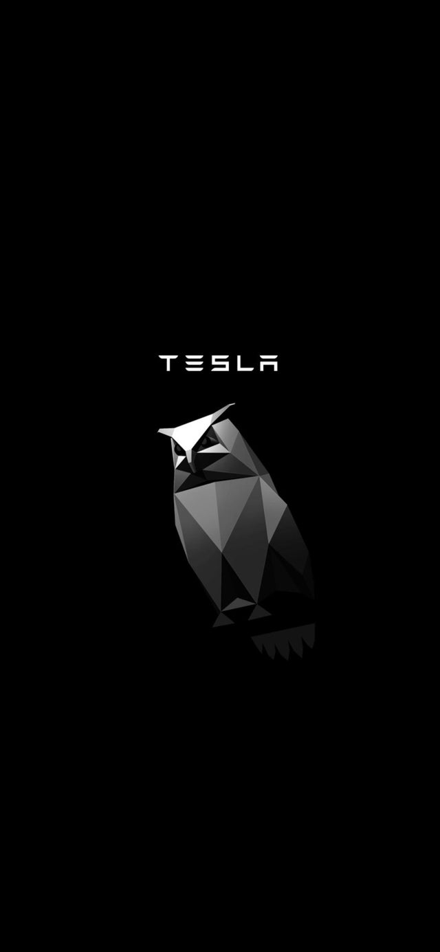 Animated, minimalist Cybertruck Owl iPhone wallpaper