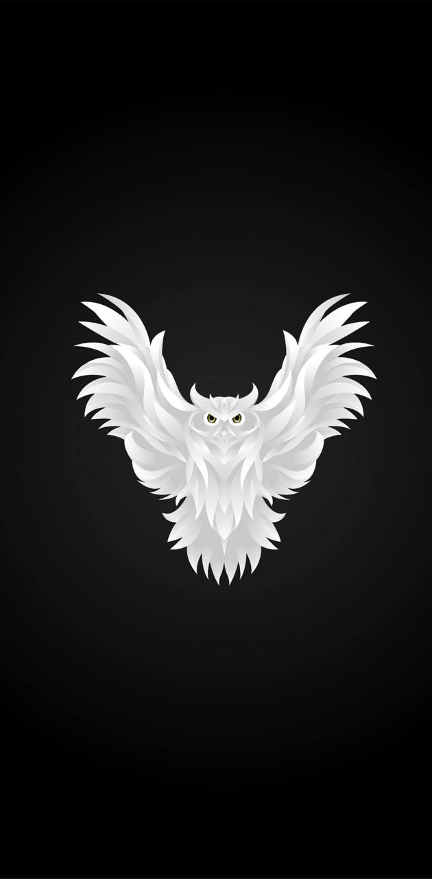 White Owl wallpaper