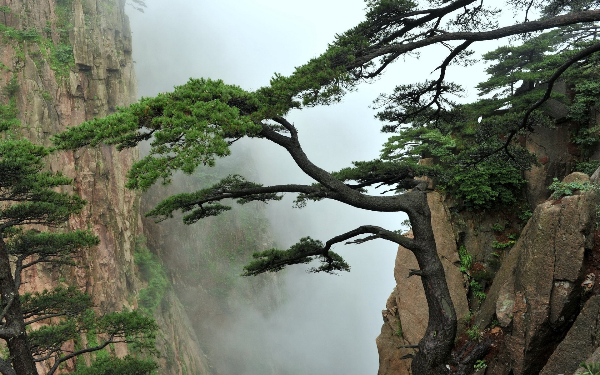 Nature landscapes mountains trees fog mist asian oriental clouds wallpaperx1200