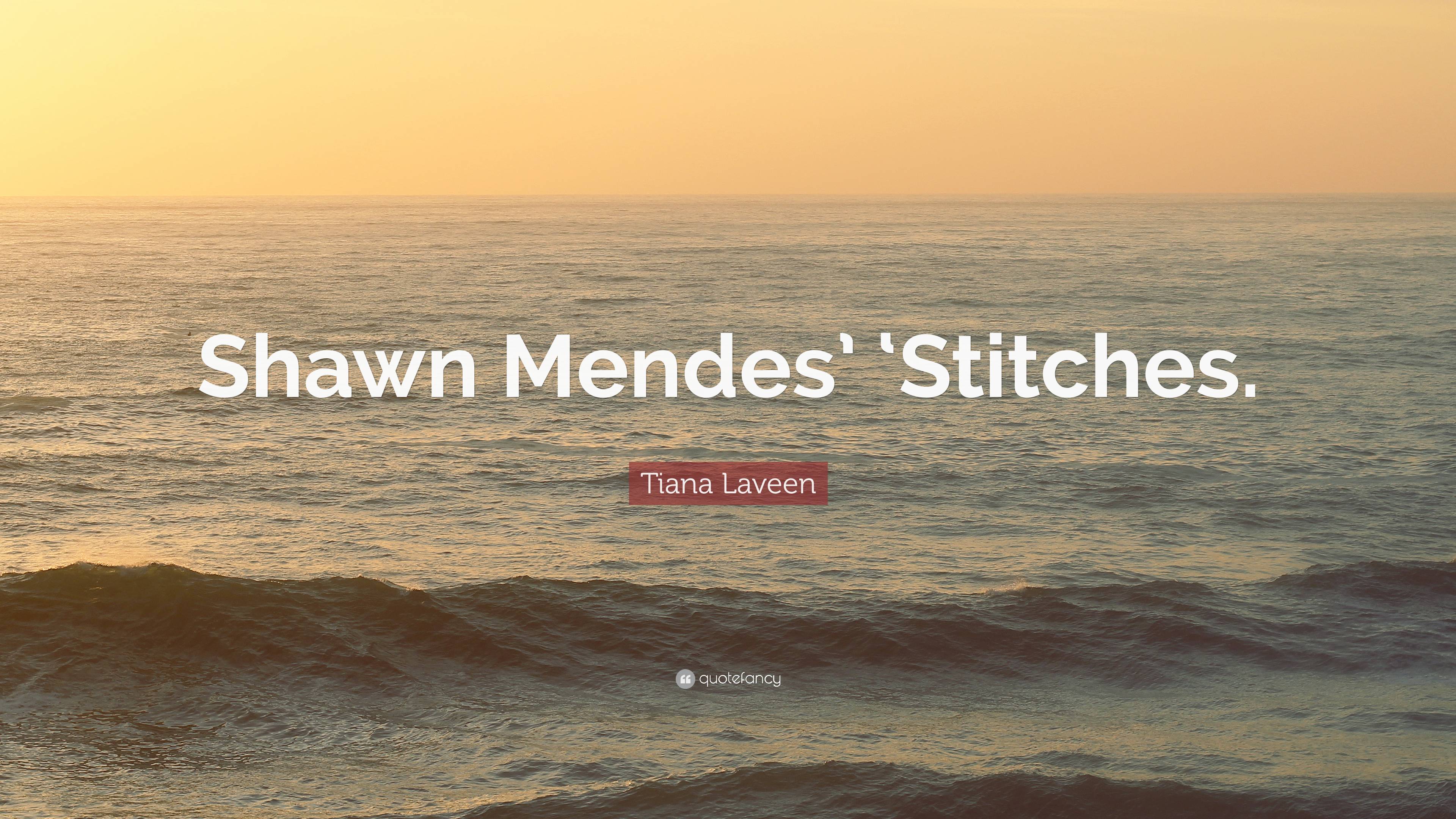 Tiana Laveen Quote: “Shawn Mendes' 'Stitches.”