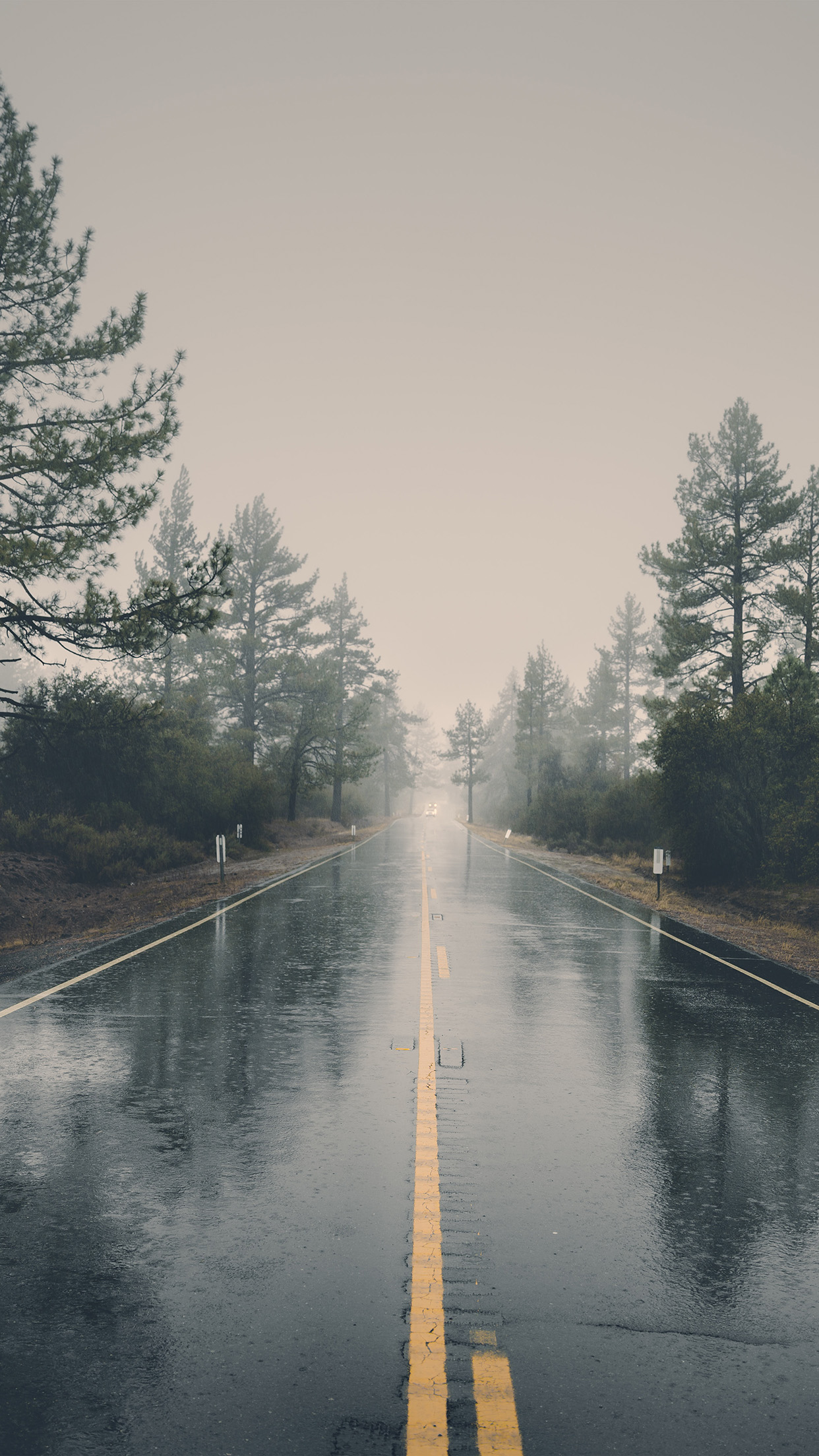 iPhone X wallpaper. rain road street city nature