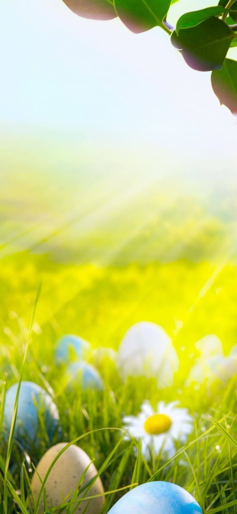 4K Easter Wallpaper iPhone 13 pro max Easter screensavers (3), Best iPhone Wallpaper and iPhone background, WallpaperUpdate, Best iPhone Wallpaper and iPhone background