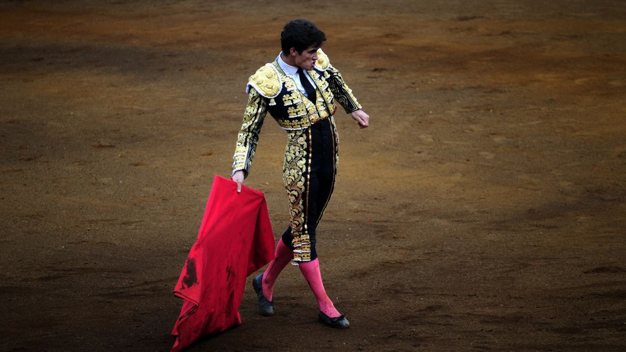 Bullfighter arena Spain bull men males wallpaperx1080