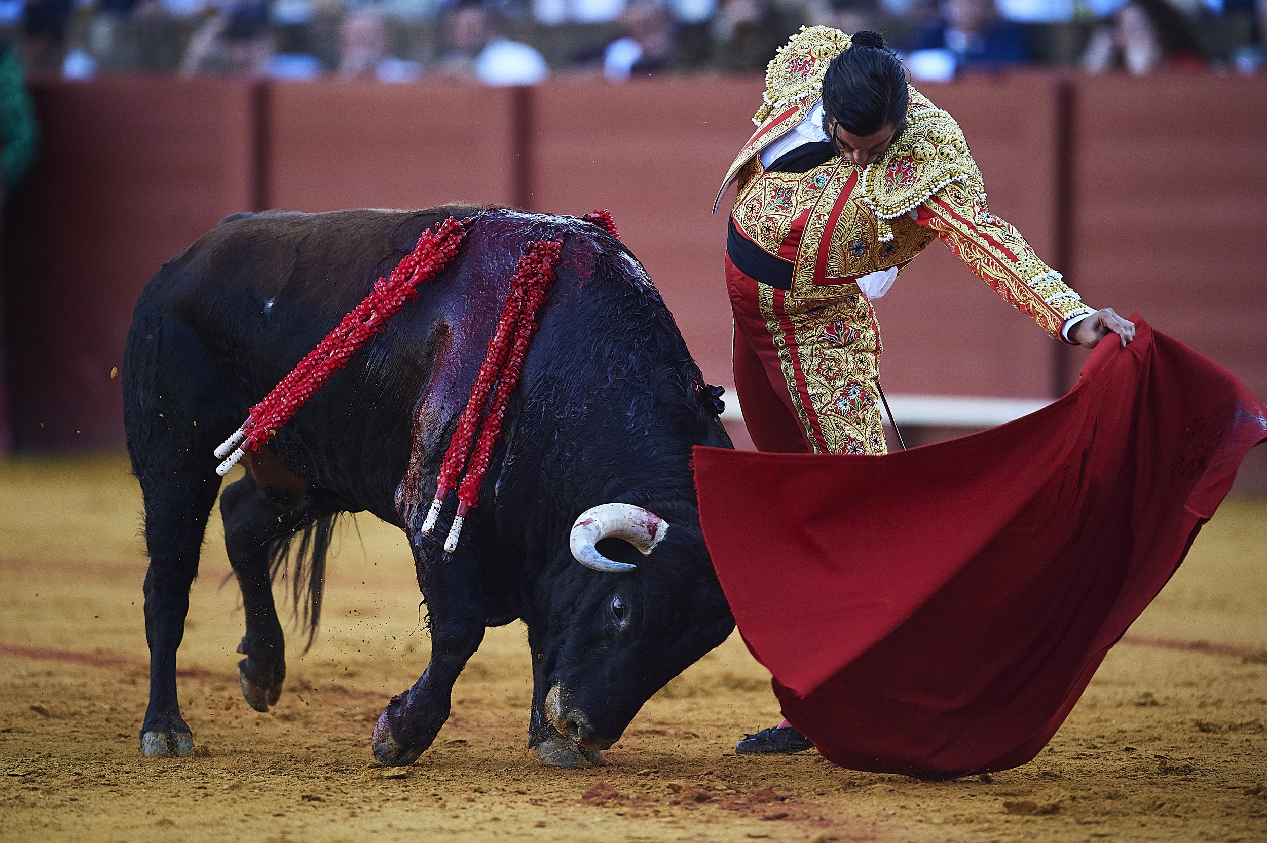 Bullfighter Wallpapers - Wallpaper Cave