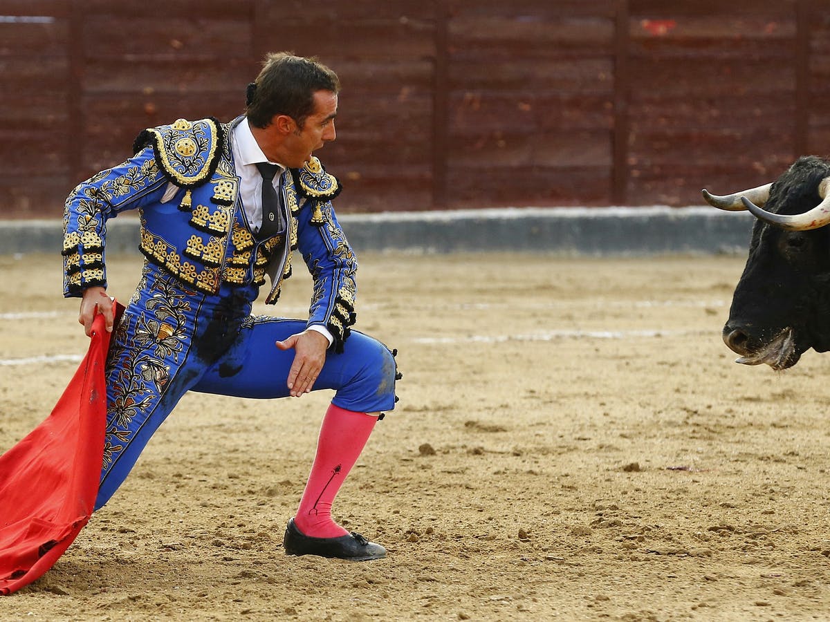 Coronavirus and culture wars: Spain's bullfighting industry faces a crunch point in 2022