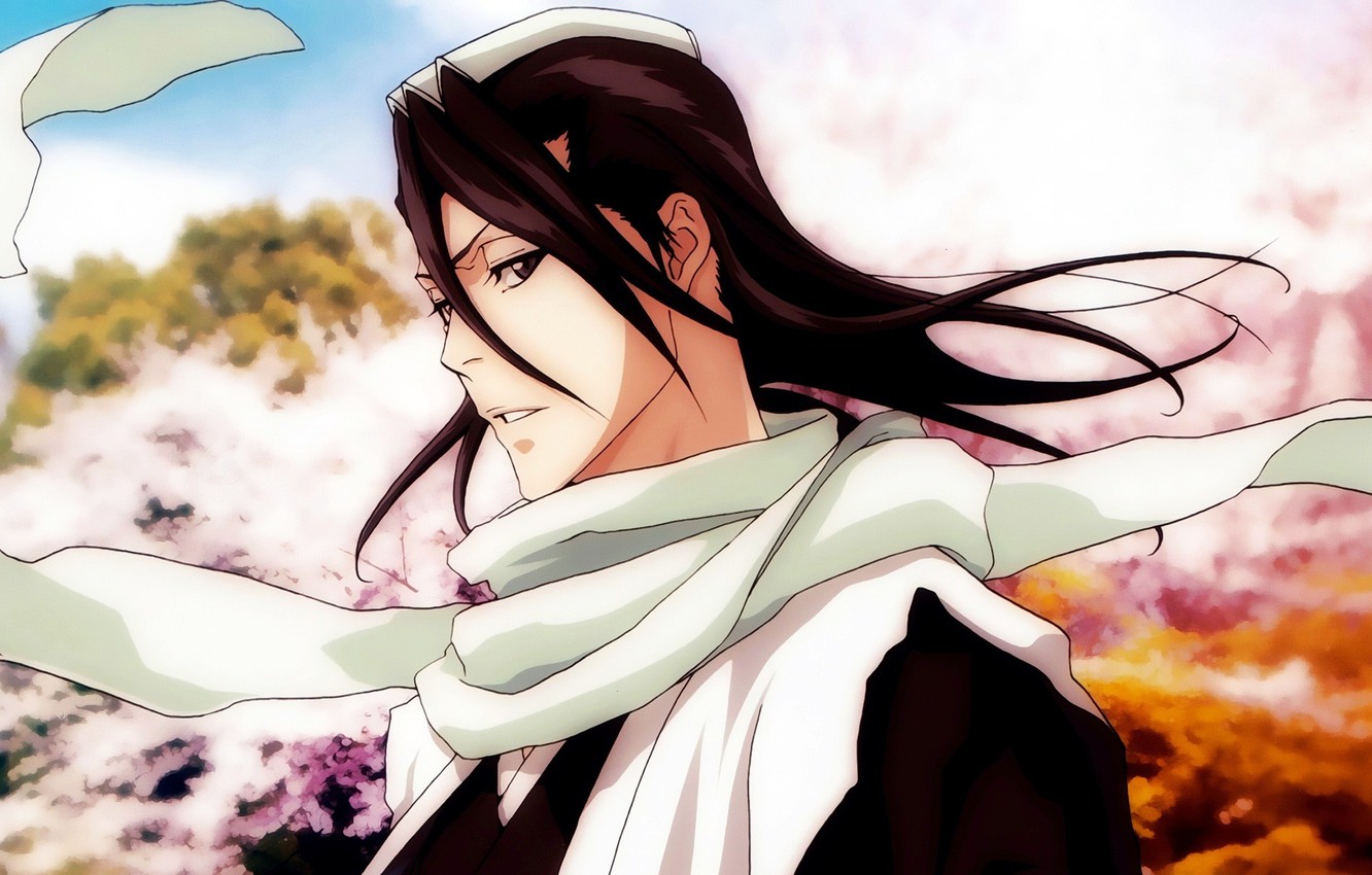 Wallpaper art, captain, bleach, BLEACH, Kuchiki Byakuya, Kuchiki Byakuya image for desktop, section сёнэн