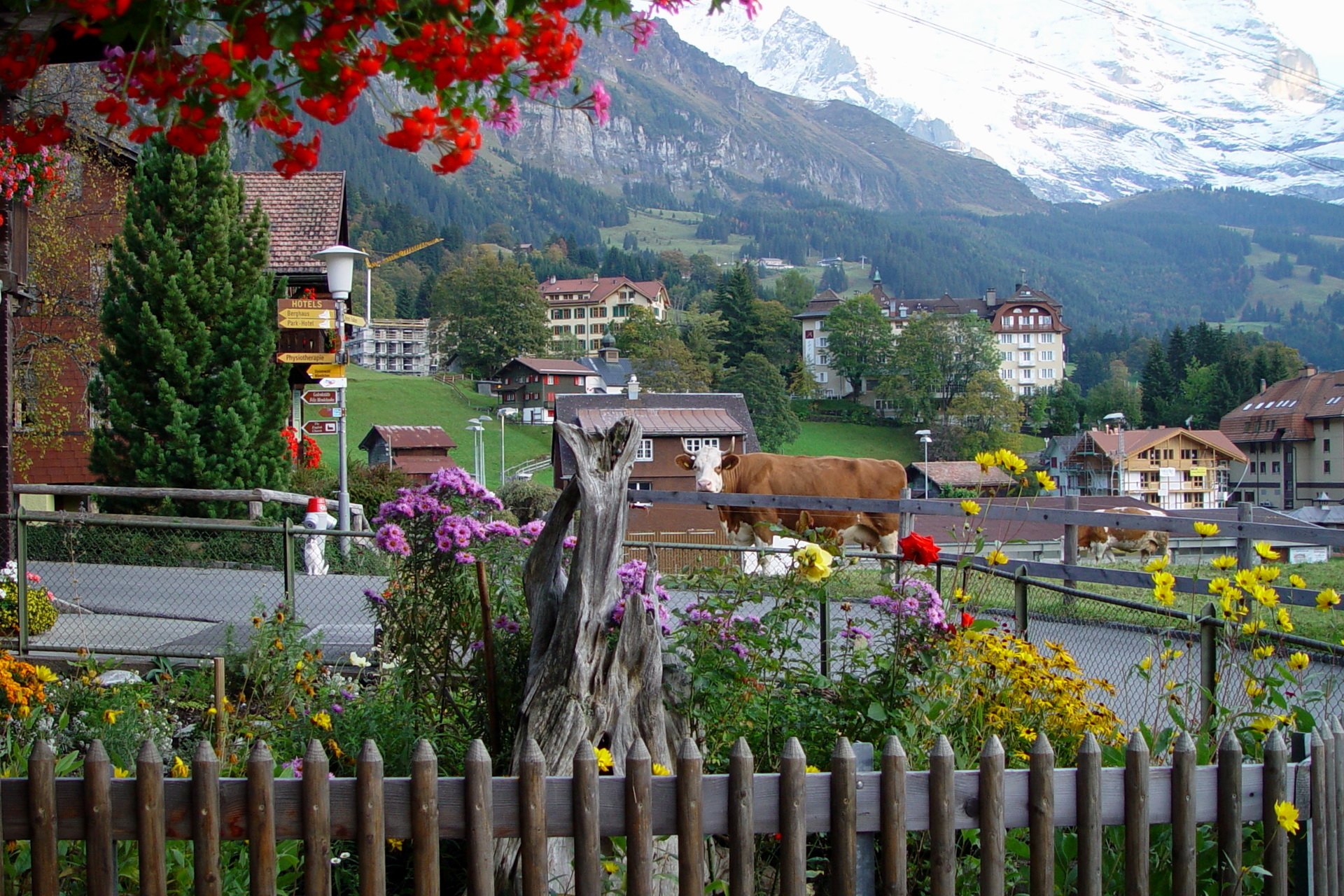Wengen, Switzerland HD Wallpaper