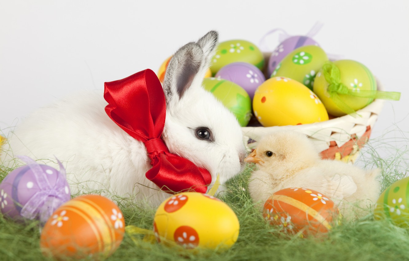 Wallpaper holiday, basket, rabbit, Easter, weed, chicken, painted eggs image for desktop, section праздники