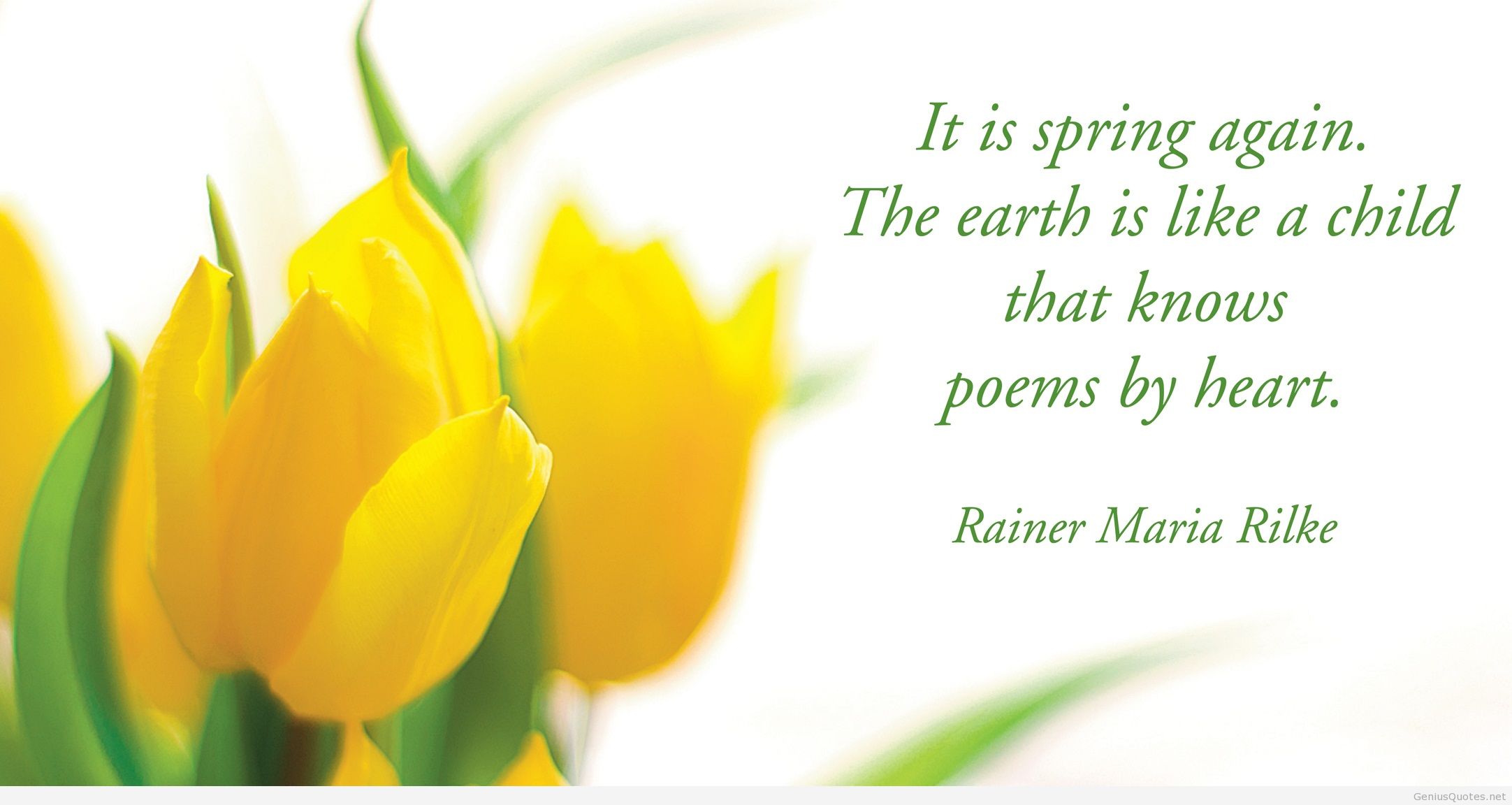 Spring Awesome Quote With Flowers Wallpaper Quote Day Of Spring Inspirational Wallpaper & Background Download