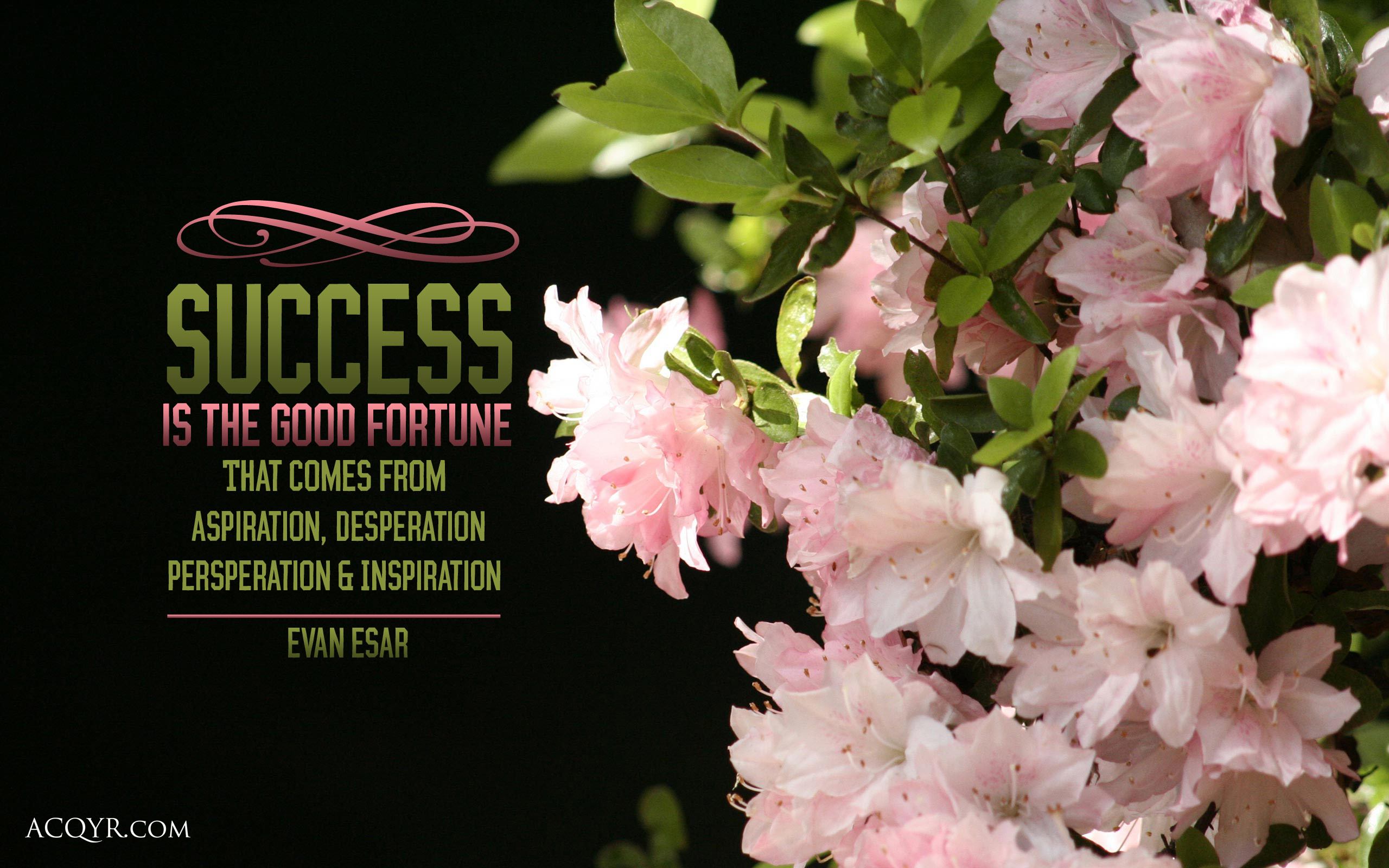 Quotes On Flower And Success