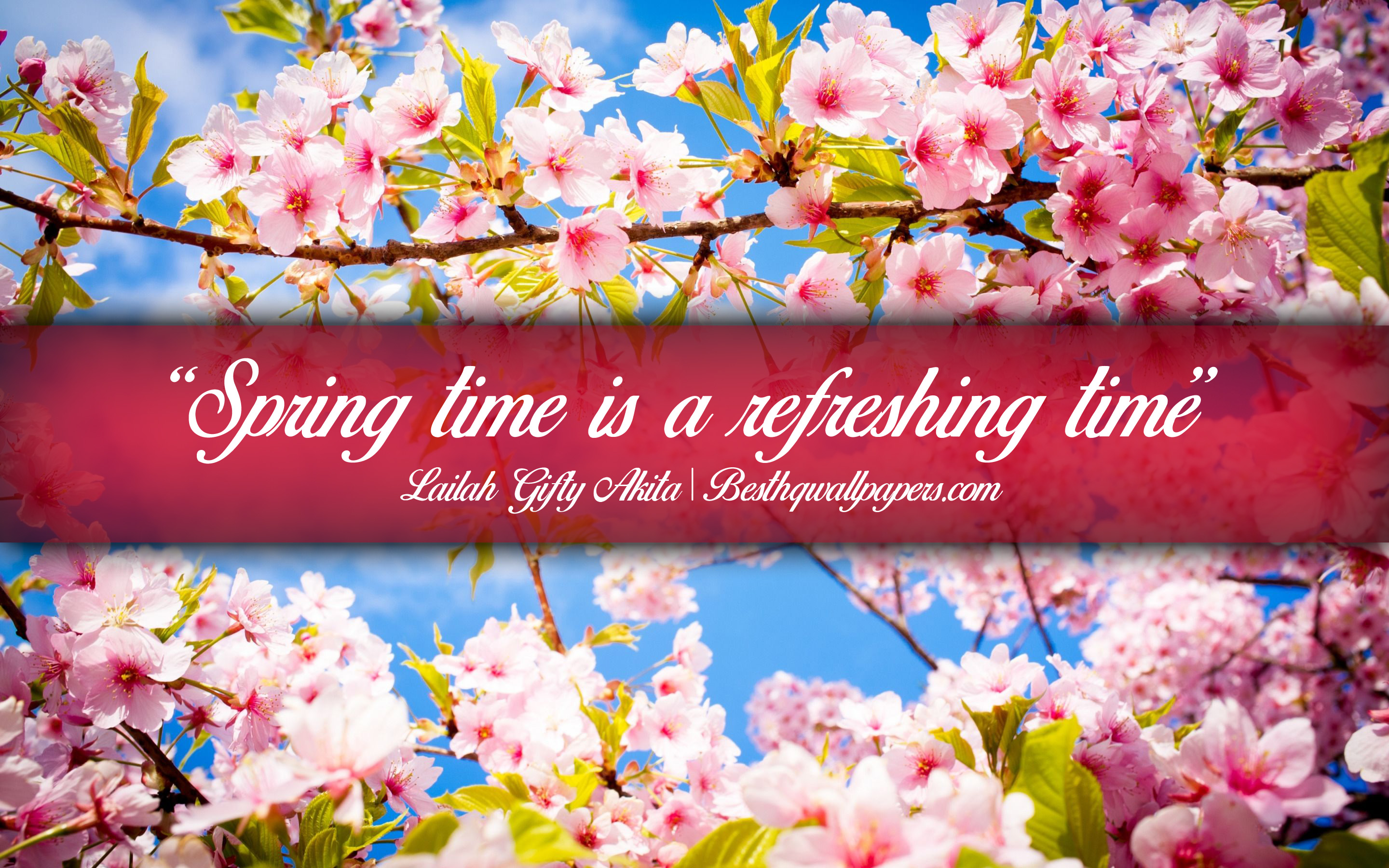 Download wallpaper Spring time is a refreshing time, Lailah Gifty Akita, calligraphic text, quotes about spring, Lailah Gifty Akita quotes, inspiration, spring background, quotes about time for desktop with resolution 2880x1800. High