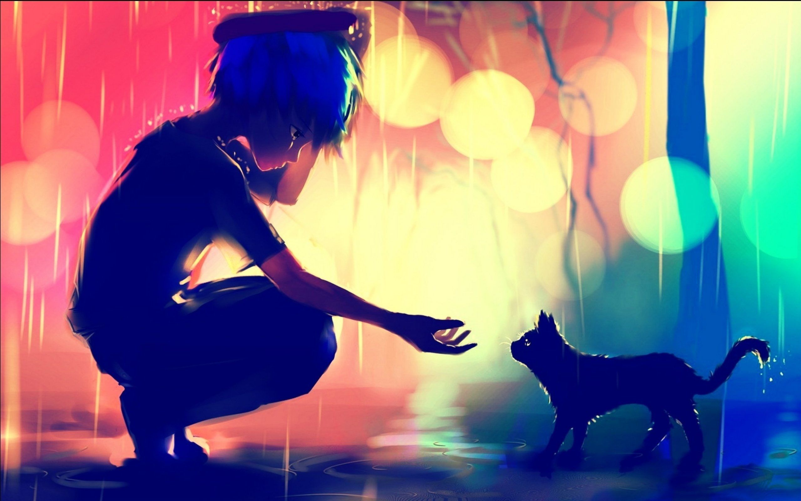 Anime boy, cat, sadness, profile view, bokeh, raining, domestic wallpaper. Cute anime cat, Anime wallpaper, Black cat painting