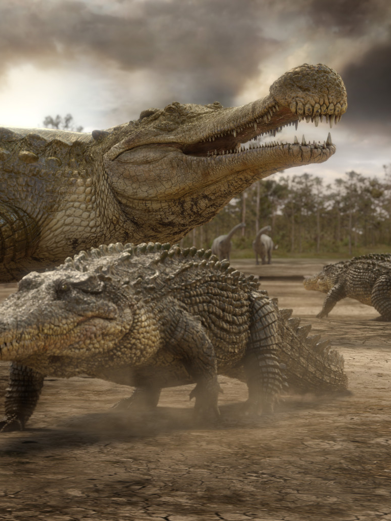 Free download Sarcosuchus imperator Prehistoric Park [984x1024] for your Desktop, Mobile & Tablet. Explore Deinosuchus Wallpaper. Deinosuchus Wallpaper