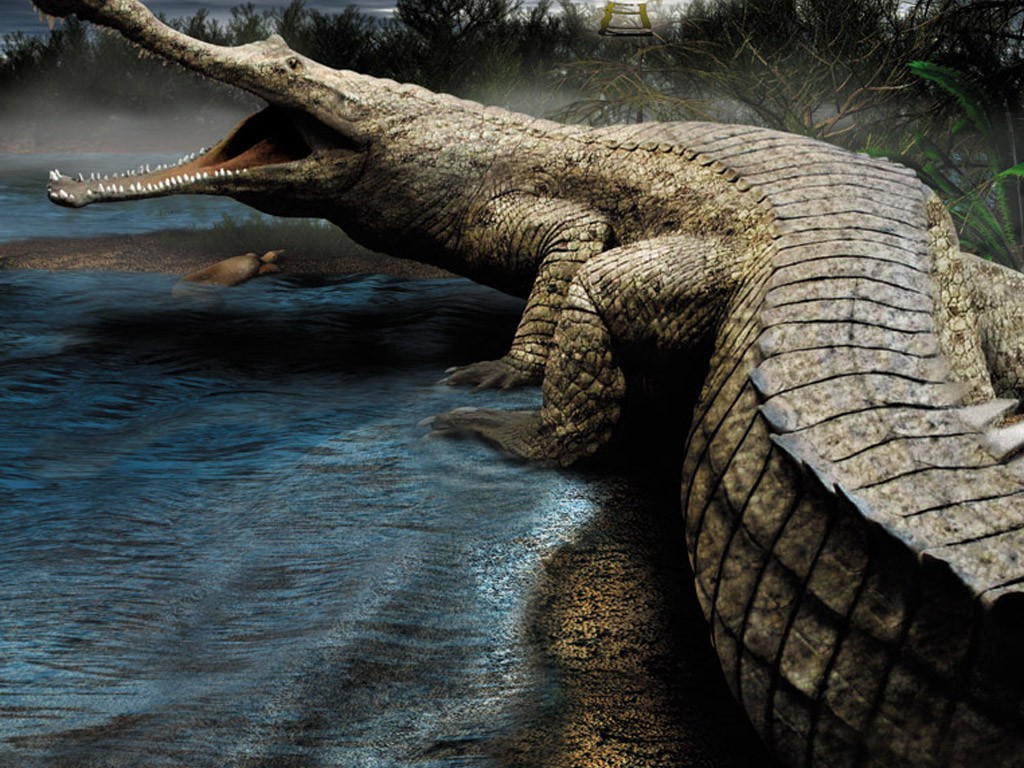 Sarcosuchus Facts, Size, Habitat, Diet, Fossils, Picture