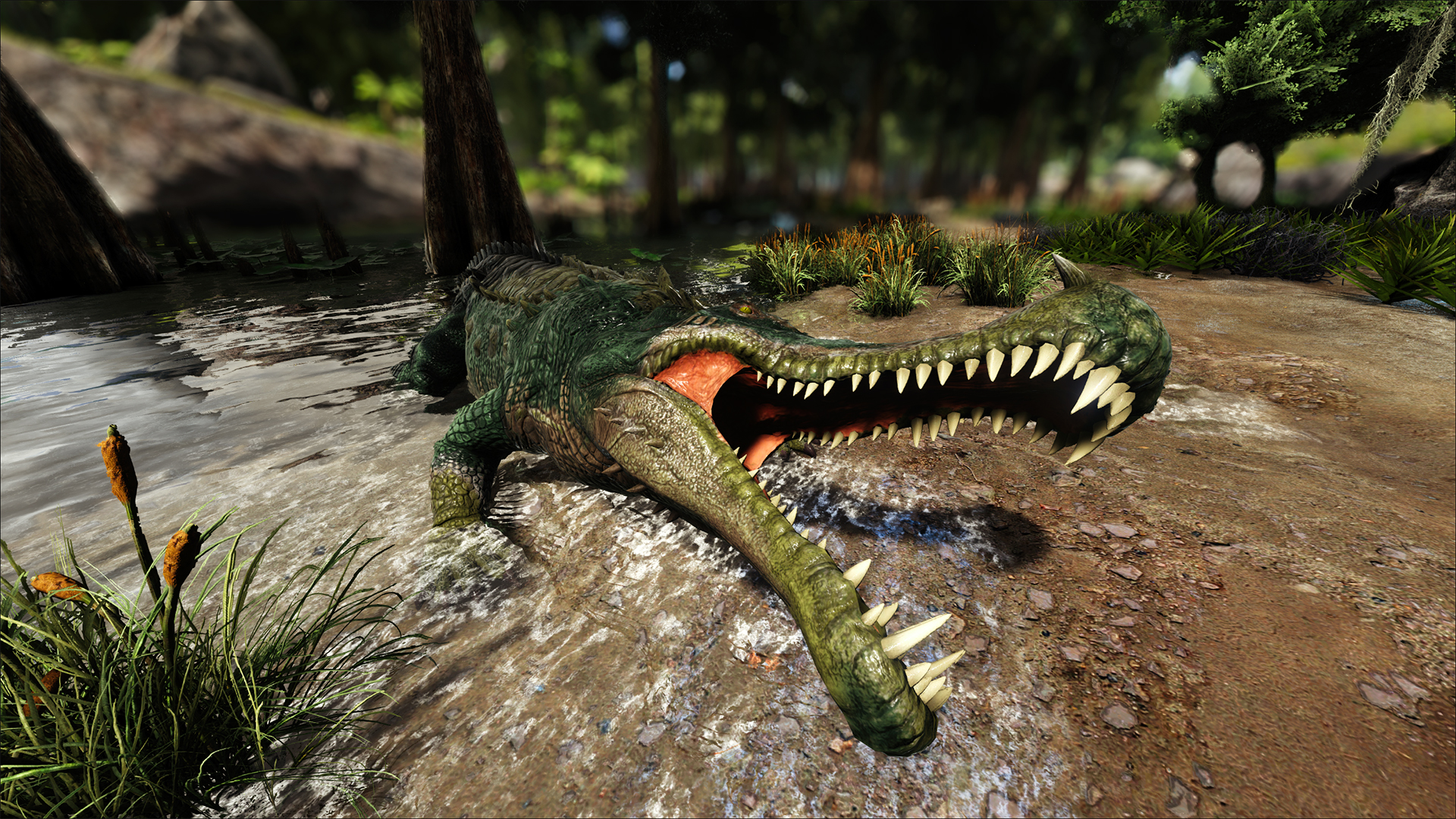 Sarcosuchus Media Community Forums
