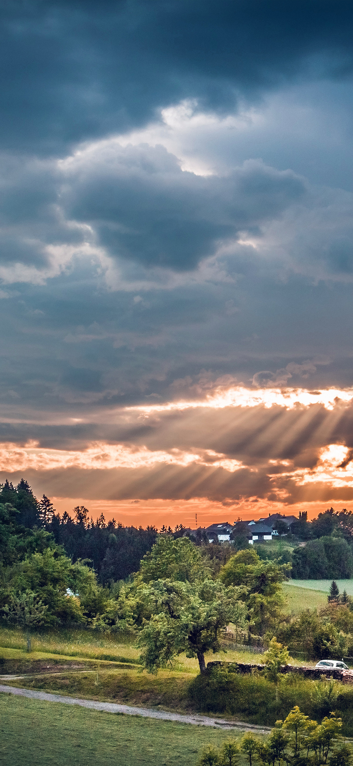 Nature Summer Phone Wallpapers - Wallpaper Cave