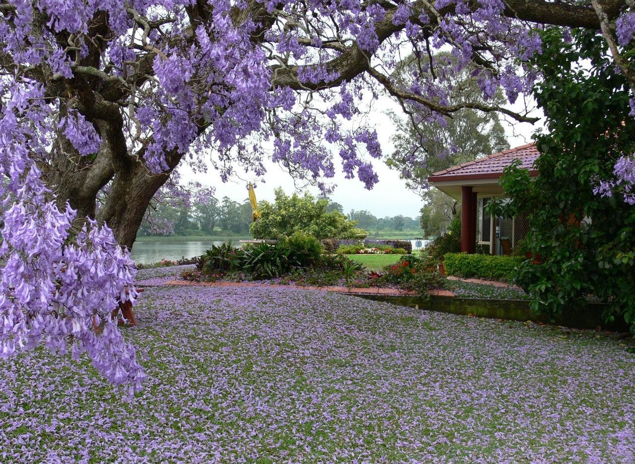 Top Top Spring Desktop Wallpaper Wallpaper. Beautiful nature spring, Spring wallpaper hd, Spring desktop wallpaper