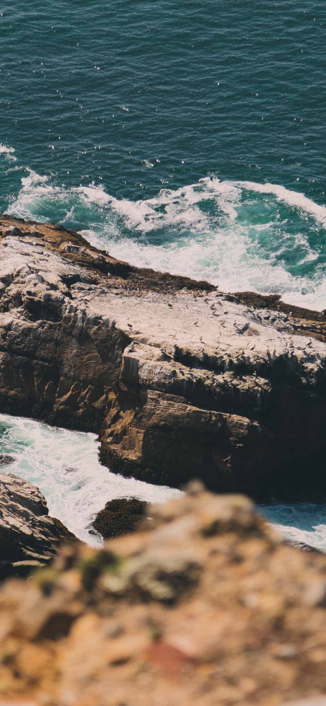 HD iPhone x wallpaper summer and image collection for Desktop & Mobile. Free wallpaper download