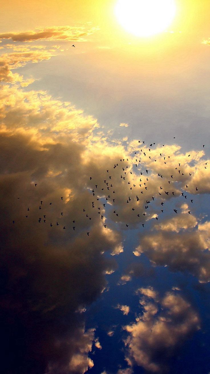 Free download Sky Bird Fly Summer Sun Nature iPhone 6 plus wallpaper [736x1308] for your Desktop, Mobile & Tablet. Explore Clouds and Sun iPhone Wallpaper. Sun and Moon Wallpaper