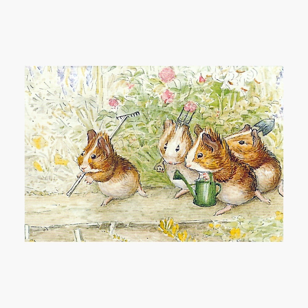 50 Peter Rabbit Wallpaper  WallpaperSafari