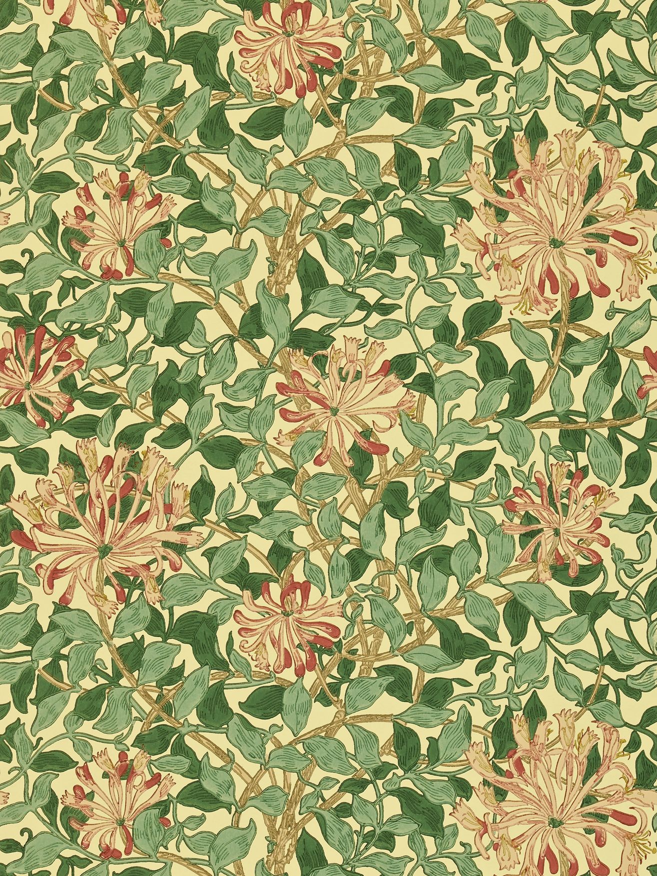 Morris & Co. Honeysuckle Wallpaper