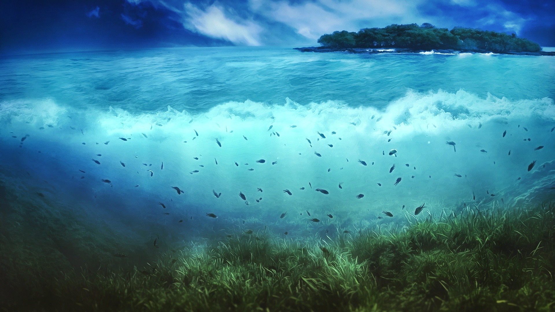sea, Nature, Island, Fish, Artwork, Split View Wallpaper HD / Desktop and Mobile Background