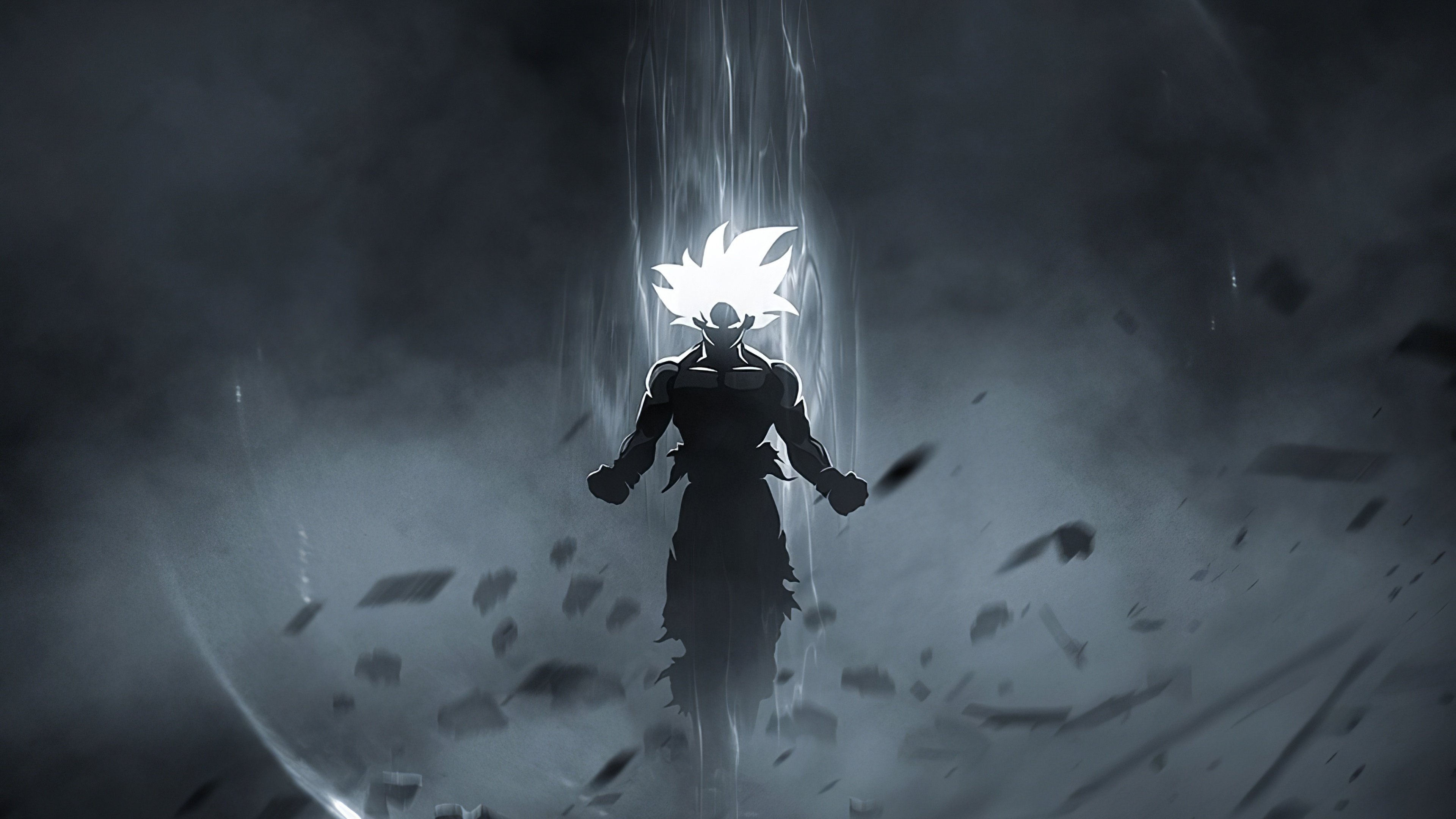 Art Dragon Ball Super Goku and Black Goku Anime Wallpaper 8k HD ID:3435