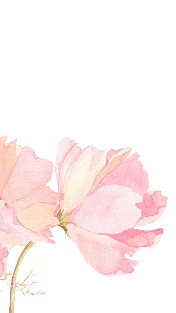 Pink Watercolour Floral Flowers iPhone Phone Wallpaper Pink Watercolor Background
