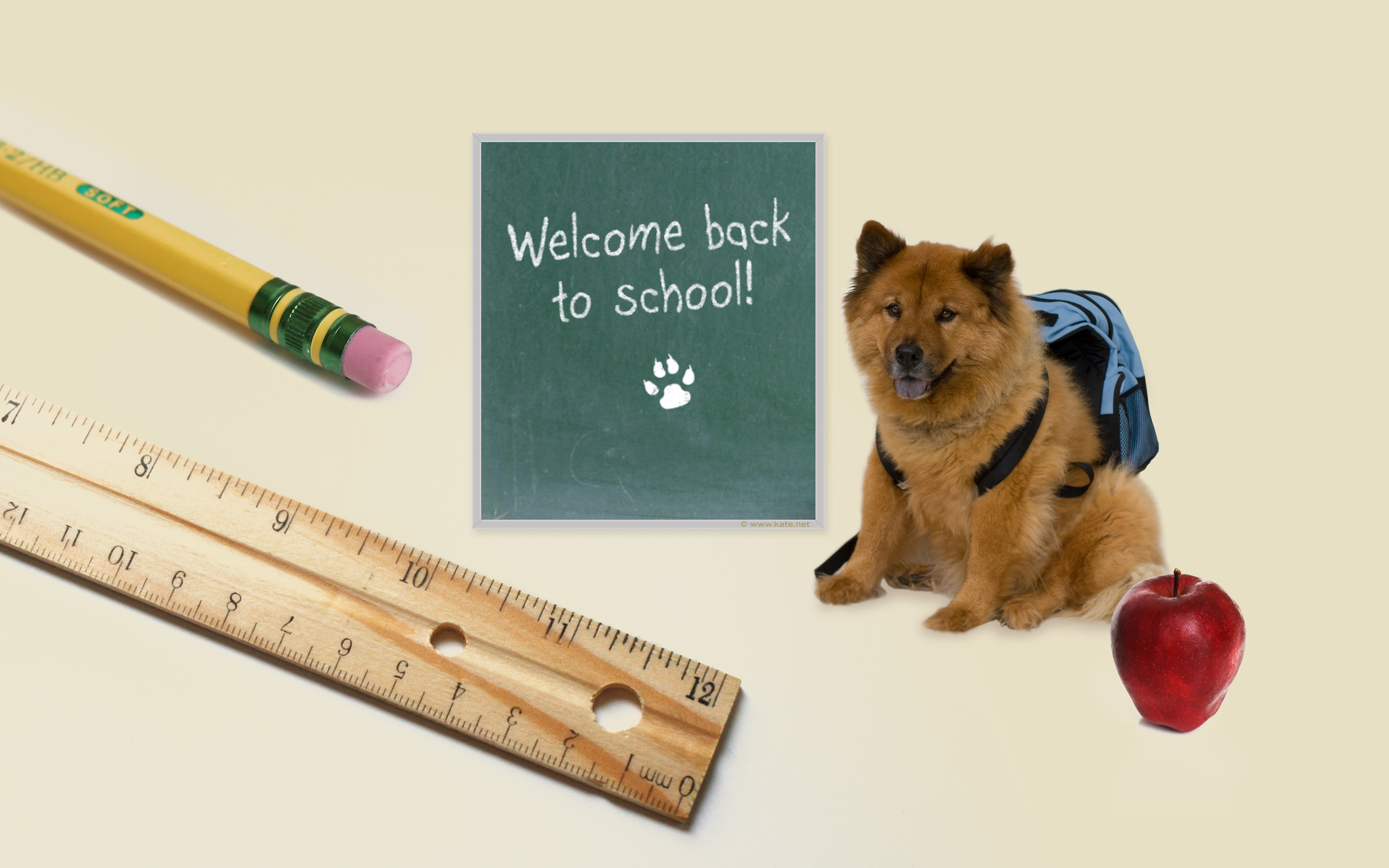 Download Free Back to School Background