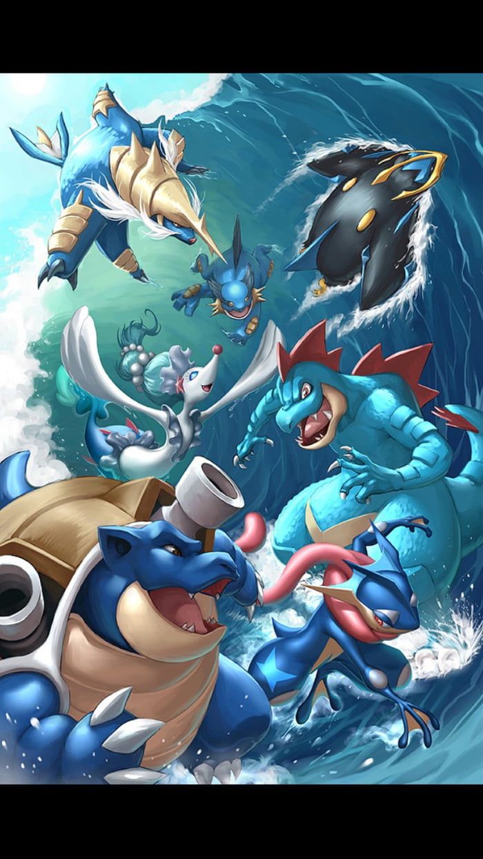 The wallpaper of the water starters (updated). Pokemon, Pokemon picture, Pokemon art