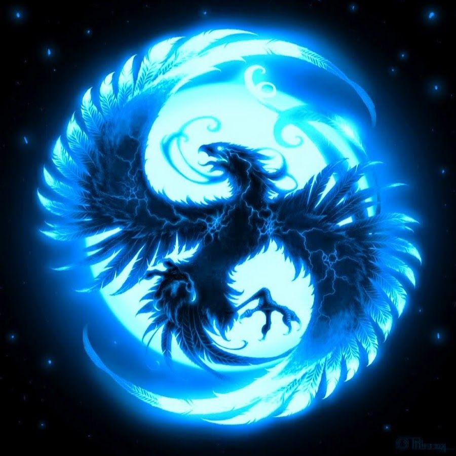 Cool Blue Phoenix Wallpaper Free Cool Blue Phoenix Background