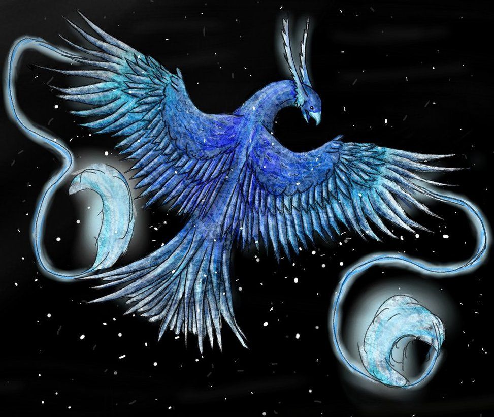 Ice Phoenix 3. Phoenix art, Phoenix bird, Mythical creatures