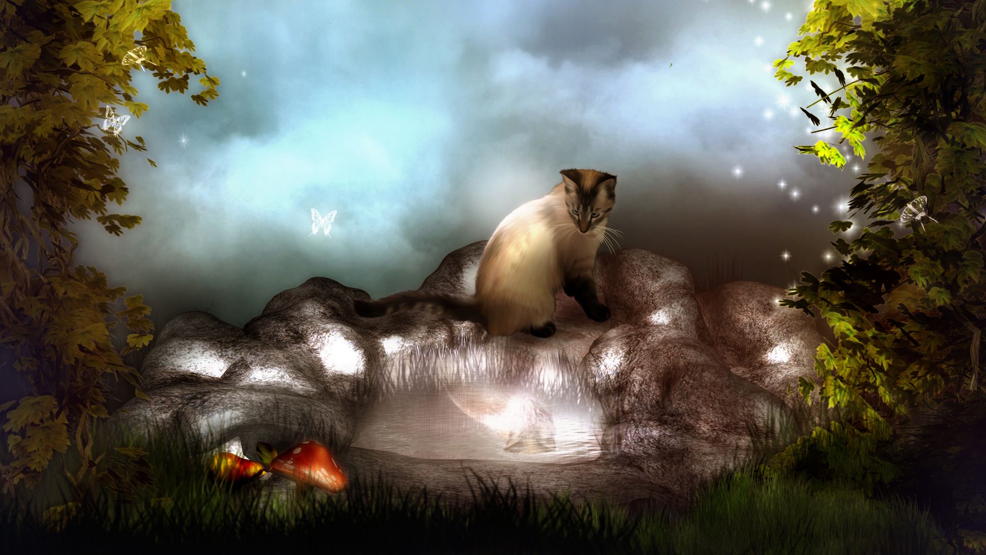 fantasy picture wallpaper. Homepage Fantasy Fantasy wallpaper 1920x1080. Fantasy picture, Animal wallpaper, Fantasy image
