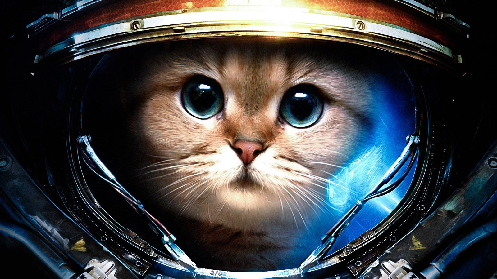 Cat Astronaut Wallpaper