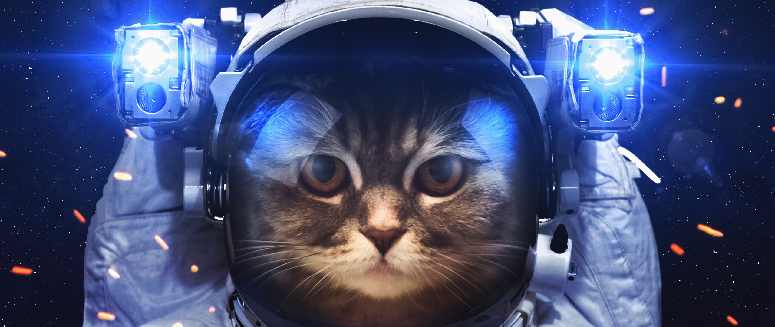 Astronaut Cat 2560x1080 Resolution HD 4k Wallpaper, Image, Background, Photo and Picture